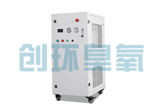 五家渠石斑鱼养殖水质调控完整指南：臭氧发生器配置与操作步骤