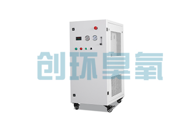 五家渠比传统换水更高效？臭氧发生器在石斑鱼养殖中的水质净化原理解析